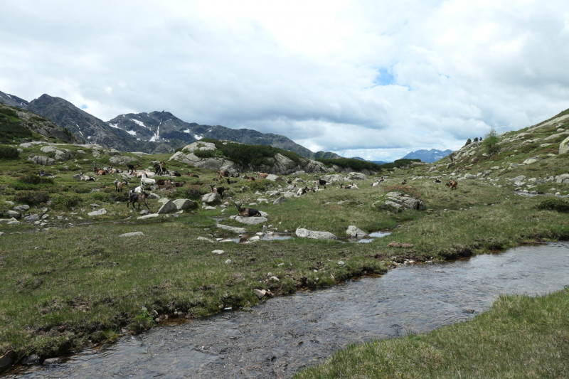 Flaggerschartenhtte - Tagewaldhorn - Distelsee - Niedereck - Penser Joch
