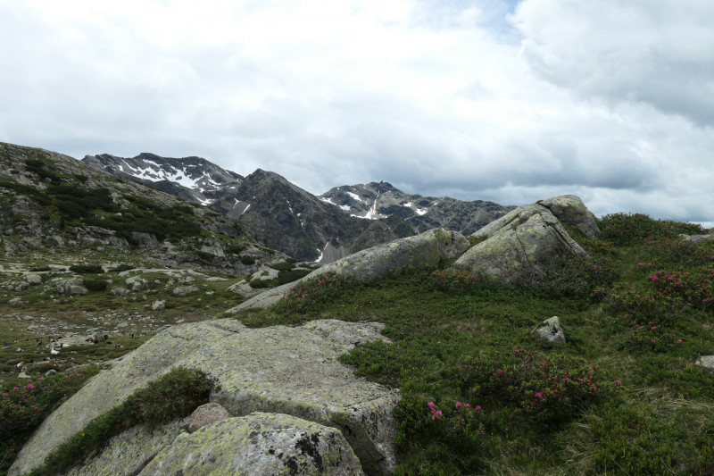Flaggerschartenhtte - Tagewaldhorn - Distelsee - Niedereck - Penser Joch