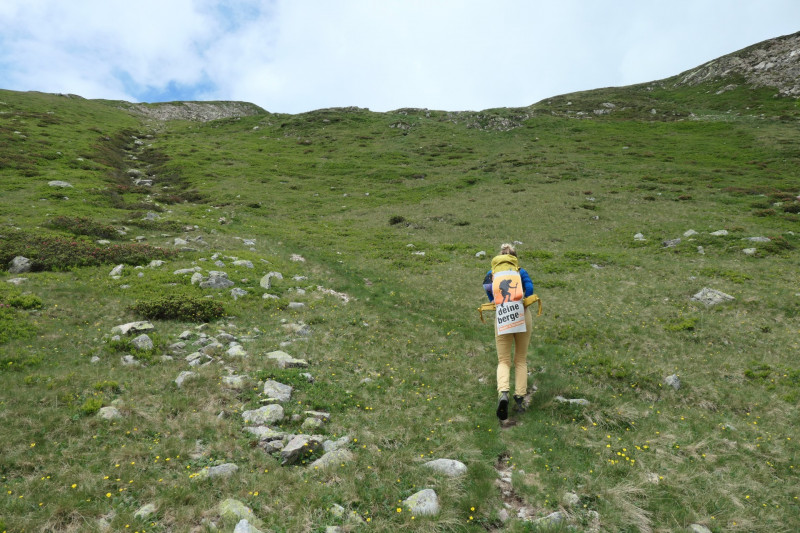 Flaggerschartenhtte - Tagewaldhorn - Distelsee - Niedereck - Penser Joch