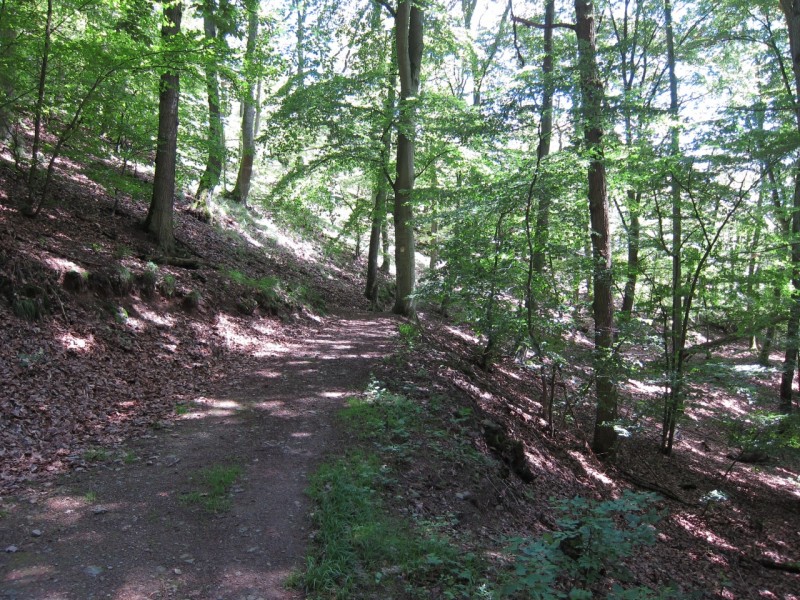 F�rstersteig Traumpfad