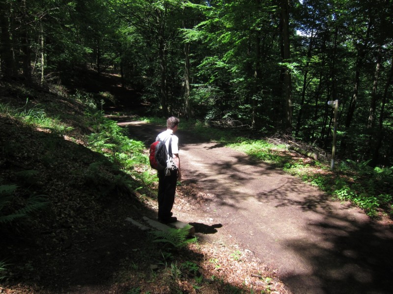 F�rstersteig Traumpfad