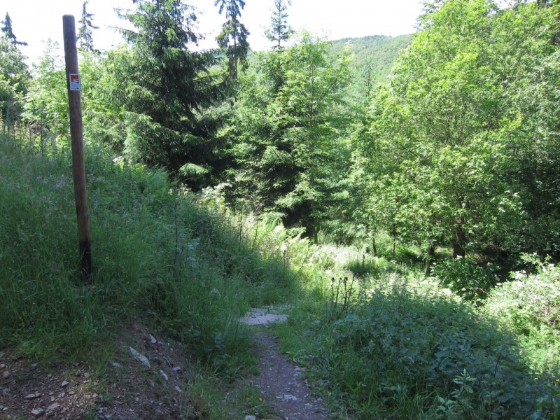 F�rstersteig Traumpfad