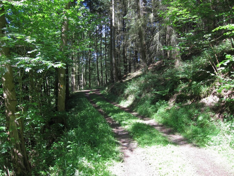 F�rstersteig Traumpfad
