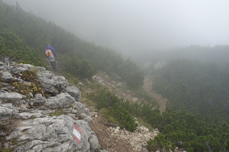 Franz Kostner Htte - Rifugio Bec de Roces - Berggasthof Pralongia - Rifugio Passo Valparola