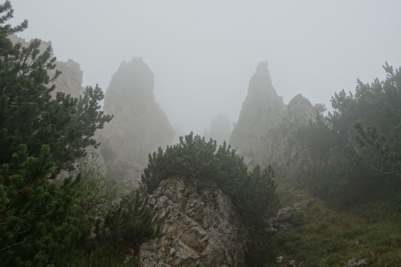 Franz Kostner Htte - Rifugio Bec de Roces - Berggasthof Pralongia - Rifugio Passo Valparola