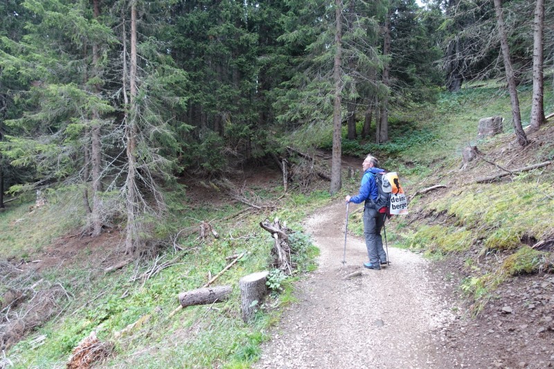 Franz Kostner Htte - Rifugio Bec de Roces - Berggasthof Pralongia - Rifugio Passo Valparola
