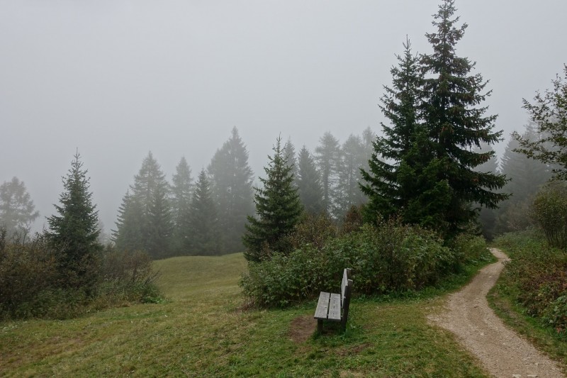 Franz Kostner Htte - Rifugio Bec de Roces - Berggasthof Pralongia - Rifugio Passo Valparola