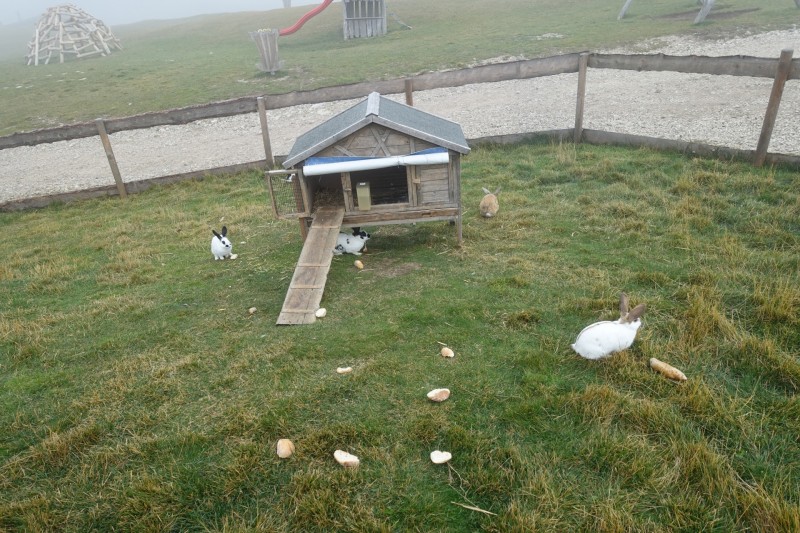 Franz Kostner Htte - Rifugio Bec de Roces - Berggasthof Pralongia - Rifugio Passo Valparola