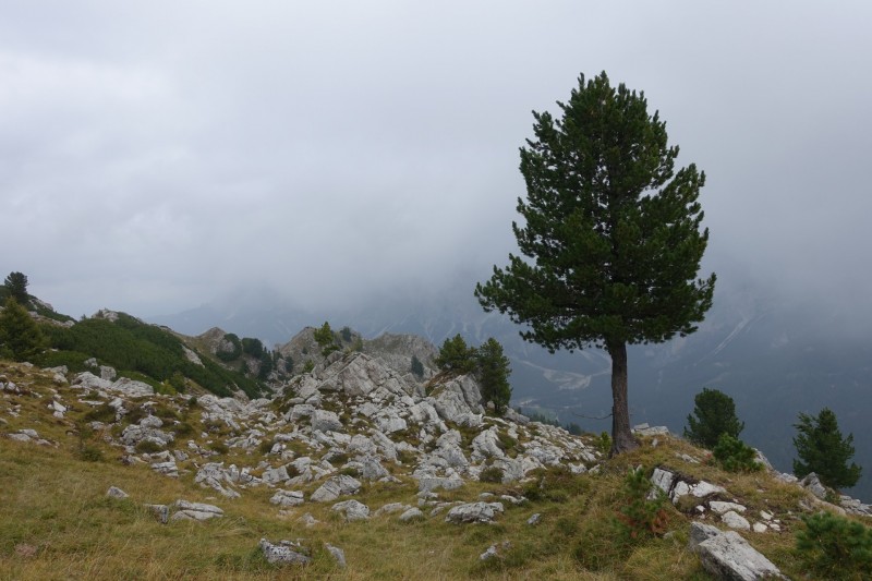 Franz Kostner Htte - Rifugio Bec de Roces - Berggasthof Pralongia - Rifugio Passo Valparola