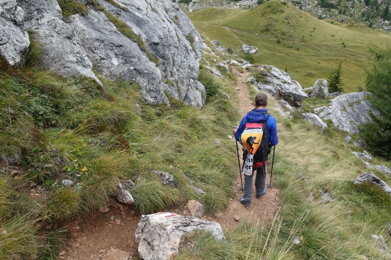 Franz Kostner Htte - Rifugio Bec de Roces - Berggasthof Pralongia - Rifugio Passo Valparola