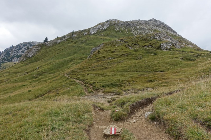 Franz Kostner Htte - Rifugio Bec de Roces - Berggasthof Pralongia - Rifugio Passo Valparola