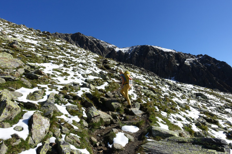 Franz-Senn-Hütte - Rinnenspitze - Schimmennieder - Basslerjoch - Neue Regensburger Hütte