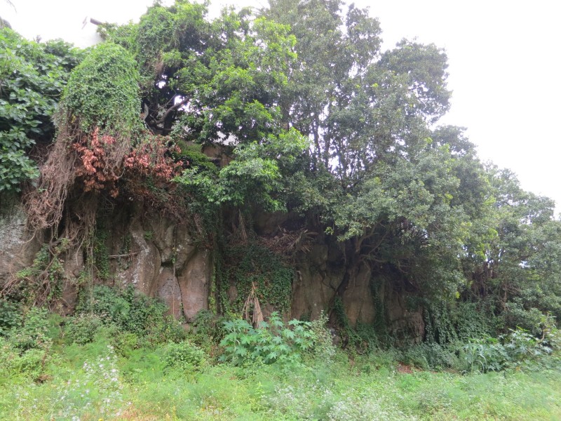 Fuentes de las Brenas