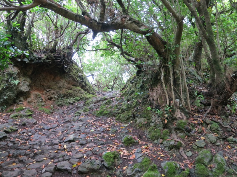 Fuentes de las Brenas