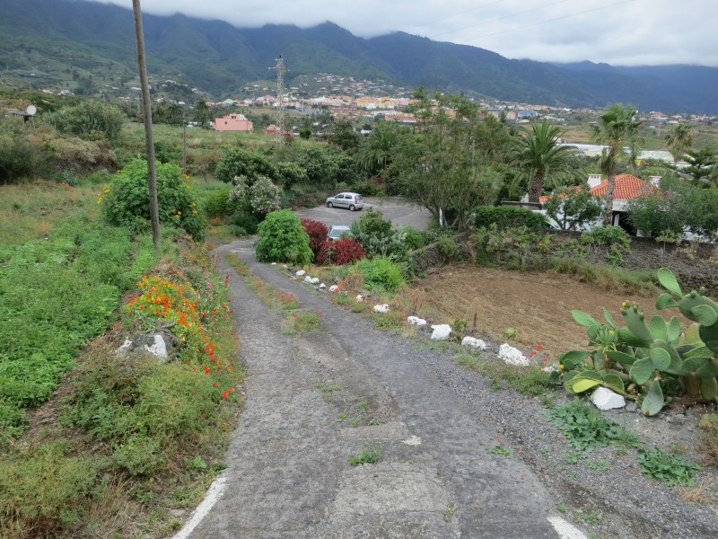 Fuentes de las Brenas