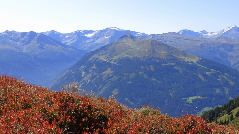 Gamskarkogel - Throneck