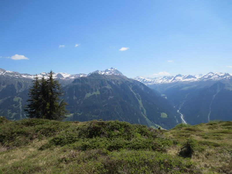 Gantekopf