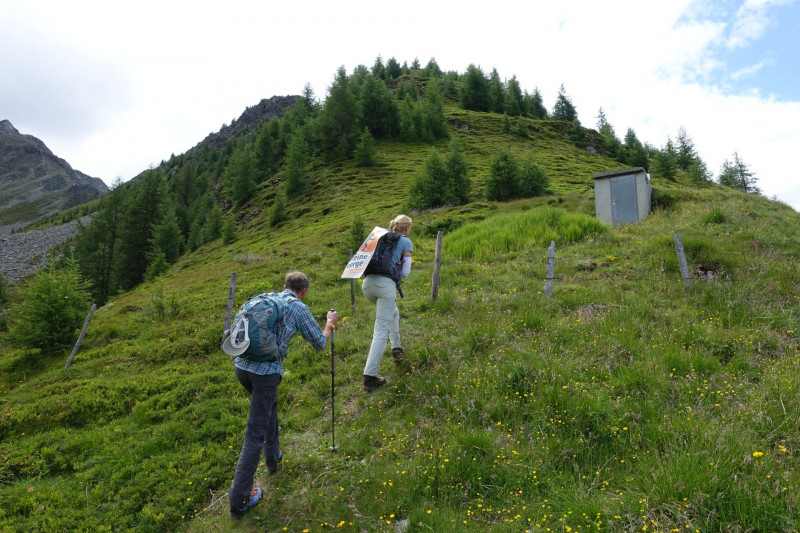 Goldried - Bunkpfl - Rotenkogel - Adlerlounge - Goldried