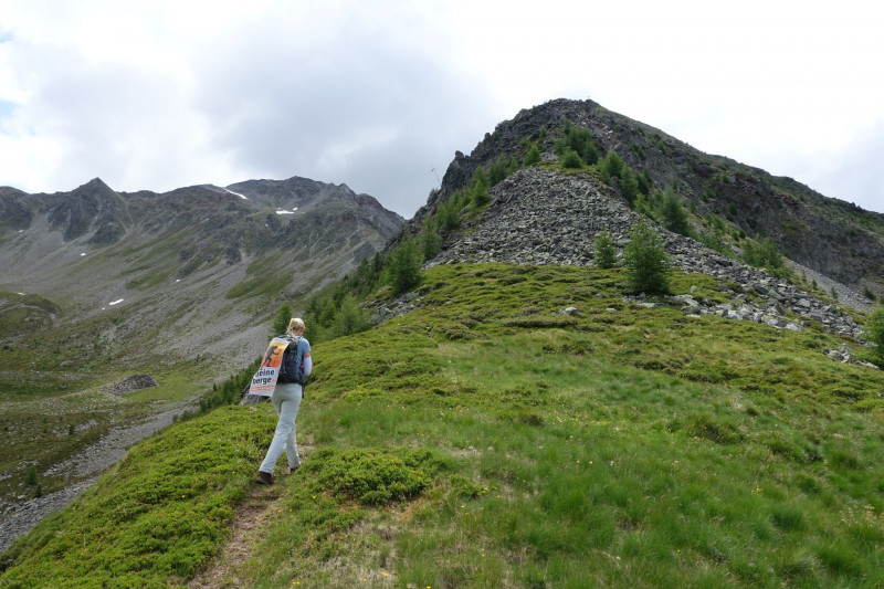 Goldried - Bunkpfl - Rotenkogel - Adlerlounge - Goldried