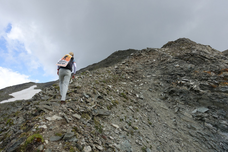 Goldried - Bunkpfl - Rotenkogel - Adlerlounge - Goldried