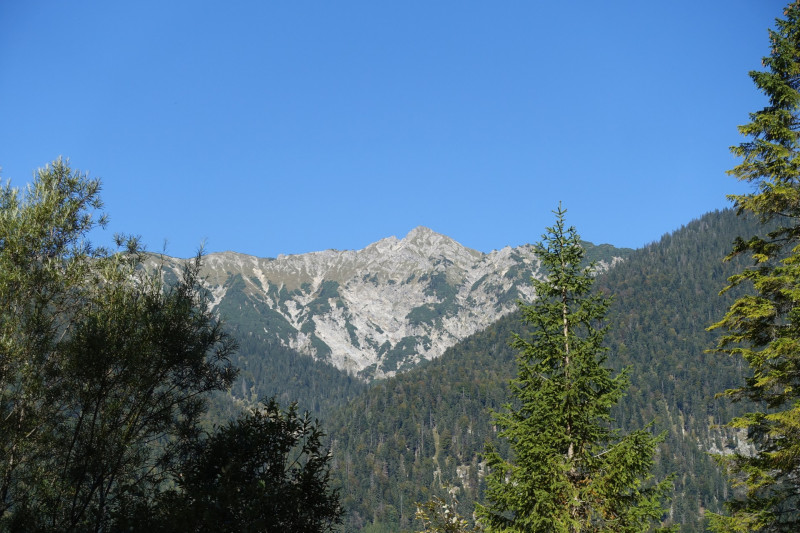 Griesen - Schellschlicht - Schellalm - Griesen
