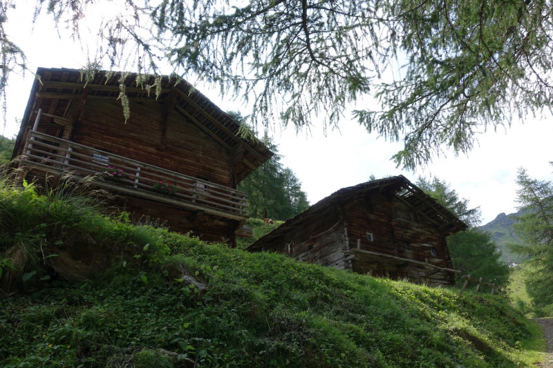 Guggenberg - Arnitzalm - Arnitzsee - Groer Zunig - Zunigtrl - Zunigsee - Zunigalm - Guggenberg