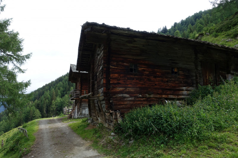 Guggenberg - Arnitzalm - Arnitzsee - Groer Zunig - Zunigtrl - Zunigsee - Zunigalm - Guggenberg