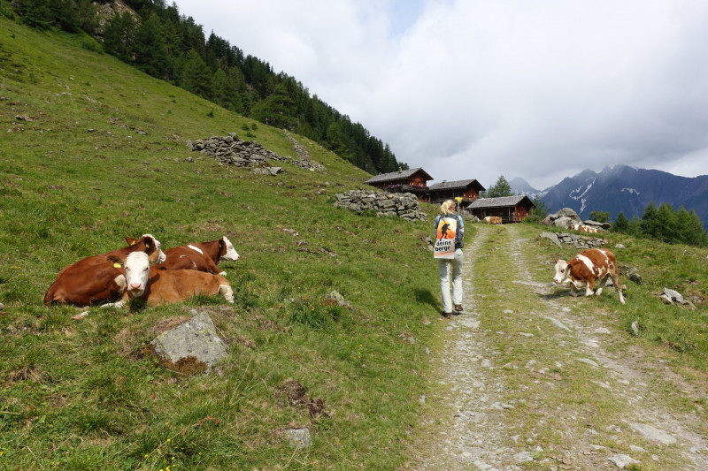 Guggenberg - Arnitzalm - Arnitzsee - Groer Zunig - Zunigtrl - Zunigsee - Zunigalm - Guggenberg
