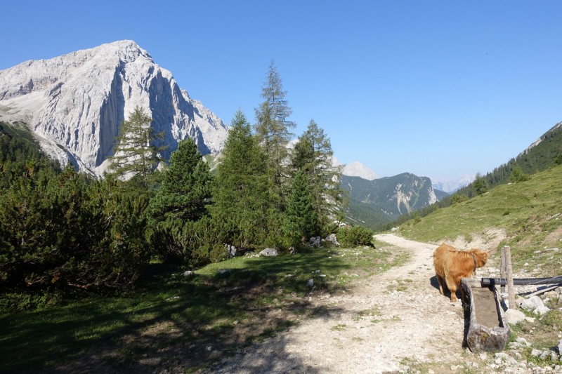 Hallerangerhaus - Gamskarspitze - Halleranger-Alm - Hallerangerhaus