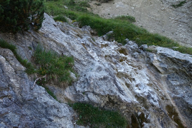 Hallerangerhaus - Gamskarspitze - Halleranger-Alm - Hallerangerhaus