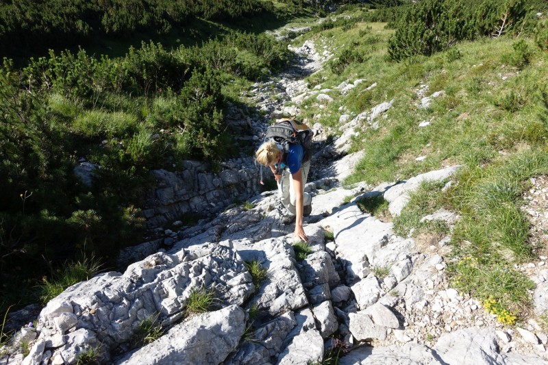 Hallerangerhaus - Gamskarspitze - Halleranger-Alm - Hallerangerhaus