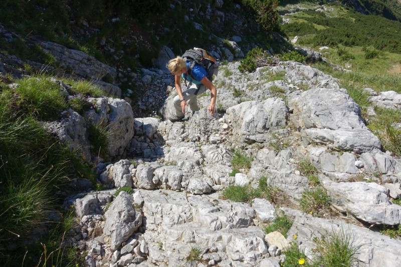 Hallerangerhaus - Gamskarspitze - Halleranger-Alm - Hallerangerhaus