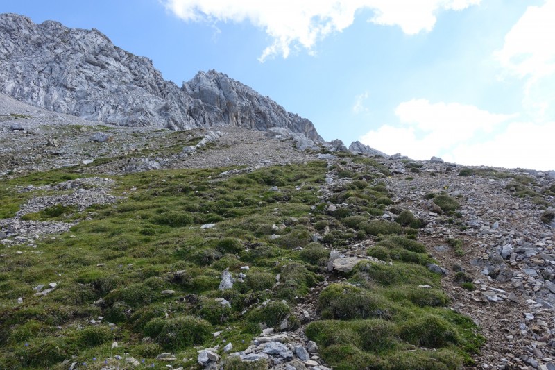 Hallerangerhaus - Gamskarspitze - Halleranger-Alm - Hallerangerhaus