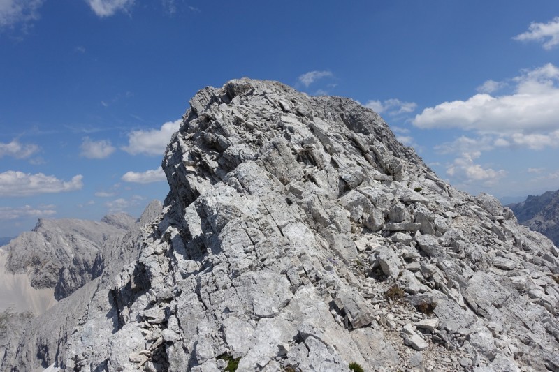 Hallerangerhaus - Gamskarspitze - Halleranger-Alm - Hallerangerhaus