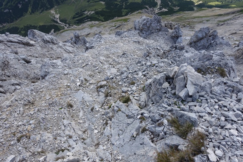 Hallerangerhaus - Gamskarspitze - Halleranger-Alm - Hallerangerhaus