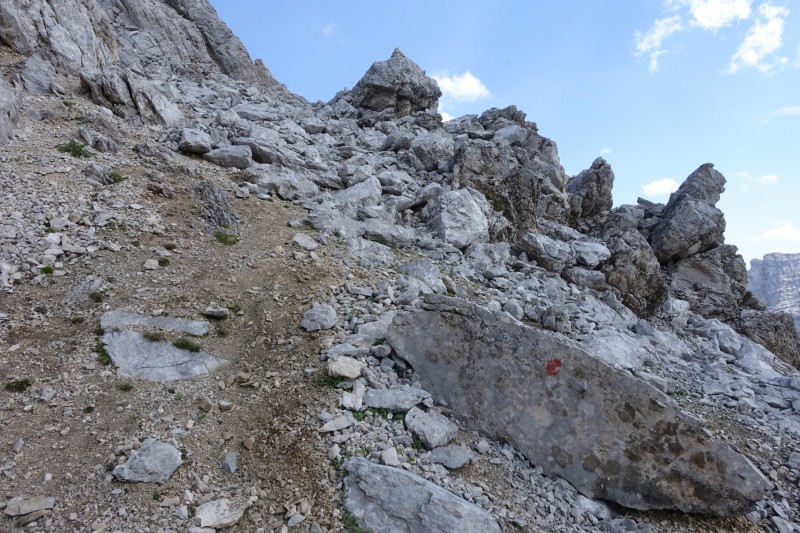 Hallerangerhaus - Gamskarspitze - Halleranger-Alm - Hallerangerhaus