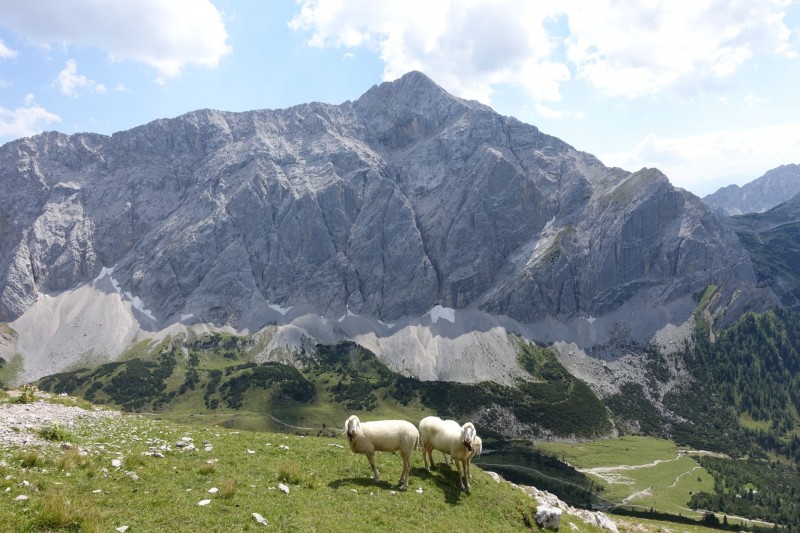 Hallerangerhaus - Gamskarspitze - Halleranger-Alm - Hallerangerhaus