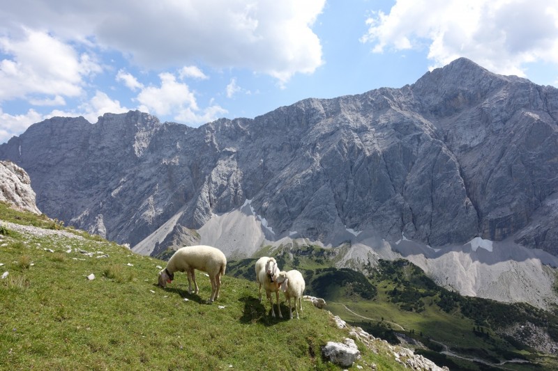 Hallerangerhaus - Gamskarspitze - Halleranger-Alm - Hallerangerhaus