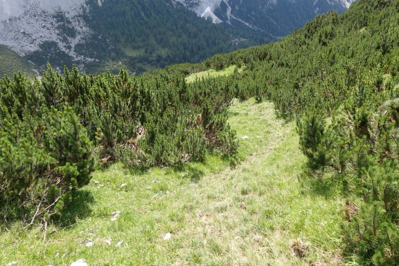Hallerangerhaus - Gamskarspitze - Halleranger-Alm - Hallerangerhaus