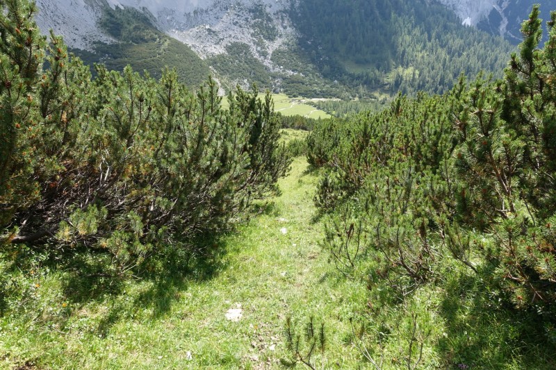 Hallerangerhaus - Gamskarspitze - Halleranger-Alm - Hallerangerhaus