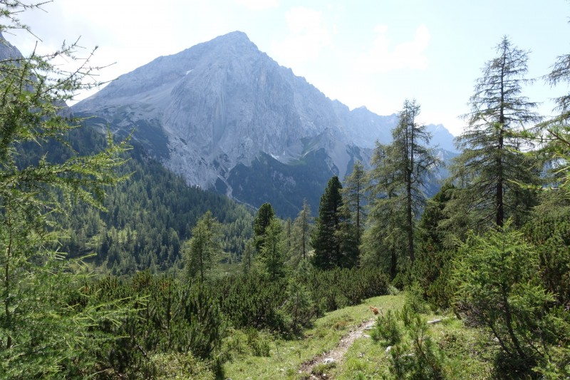 Hallerangerhaus - Gamskarspitze - Halleranger-Alm - Hallerangerhaus