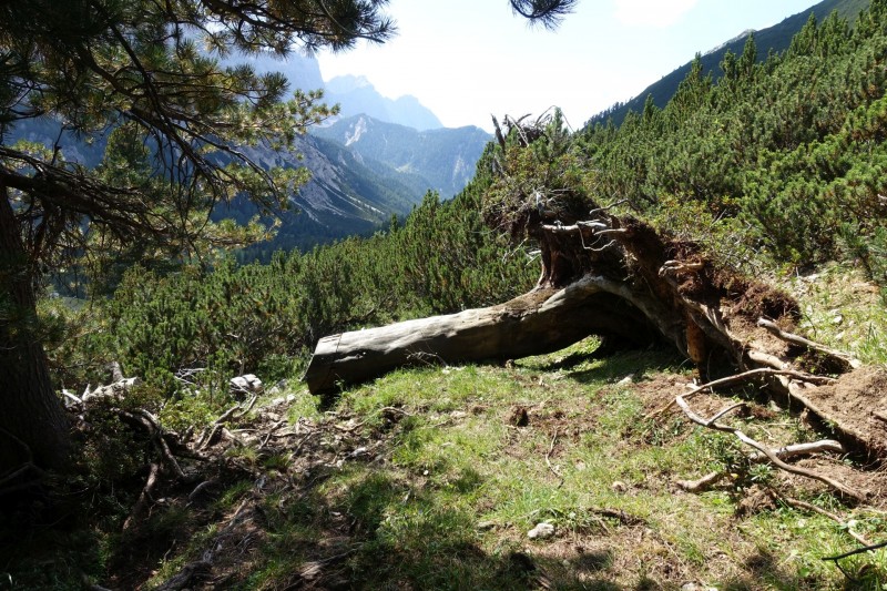 Hallerangerhaus - Gamskarspitze - Halleranger-Alm - Hallerangerhaus