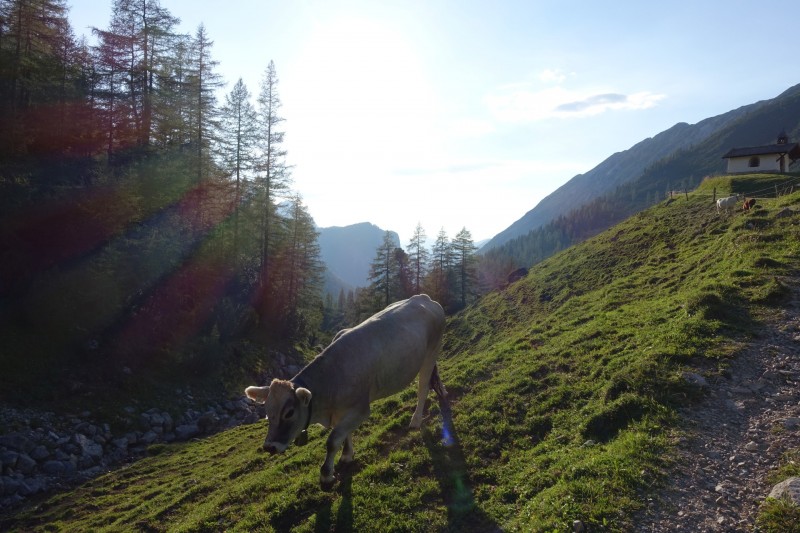Hallerangerhaus - Gamskarspitze - Halleranger-Alm - Hallerangerhaus