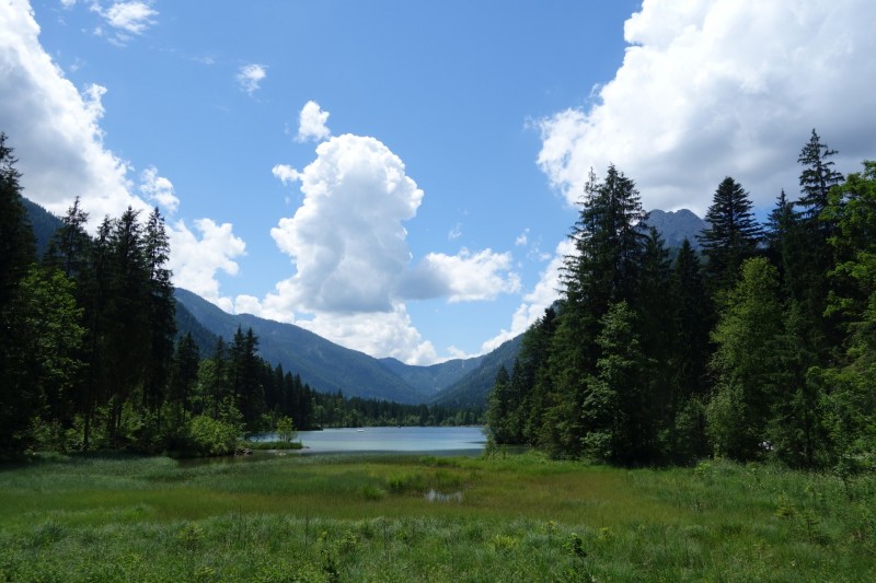 Halsalm - Hintersee - Wartstein Aussicht