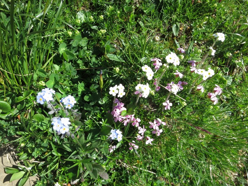 Hanauer H�tte - Muttekopfh�tte - Imst