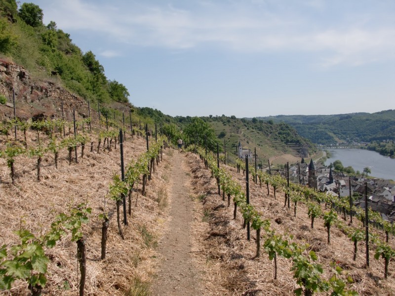 Traumpfad Hatzenporter Laysteig