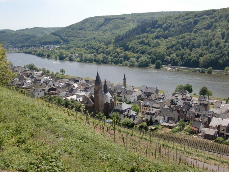 Traumpfad Hatzenporter Laysteig