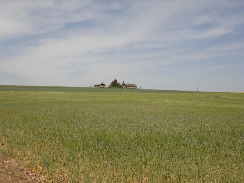 Traumpfad Hatzenporter Laysteig