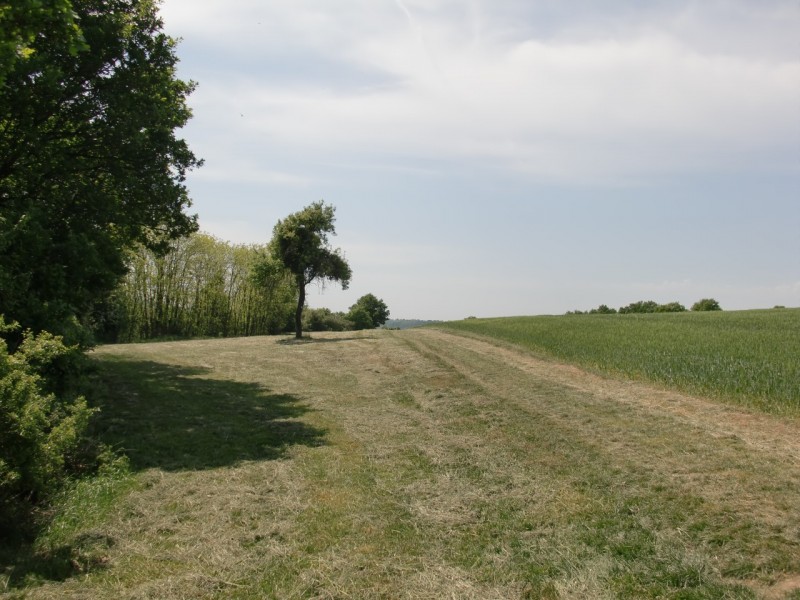 Traumpfad Hatzenporter Laysteig