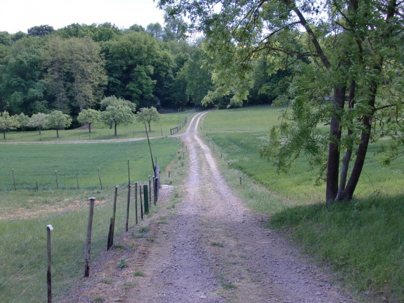 Traumpfad Hatzenporter Laysteig